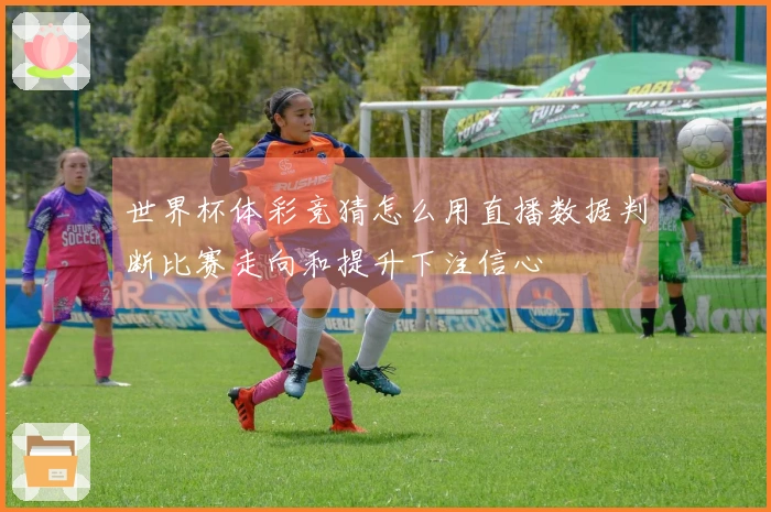 世界杯体彩竞猜怎么用直播数据判断比赛走向和提升下注信心