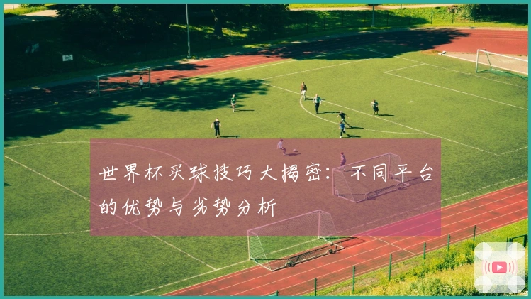 世界杯买球技巧大揭密：不同平台的优势与劣势分析