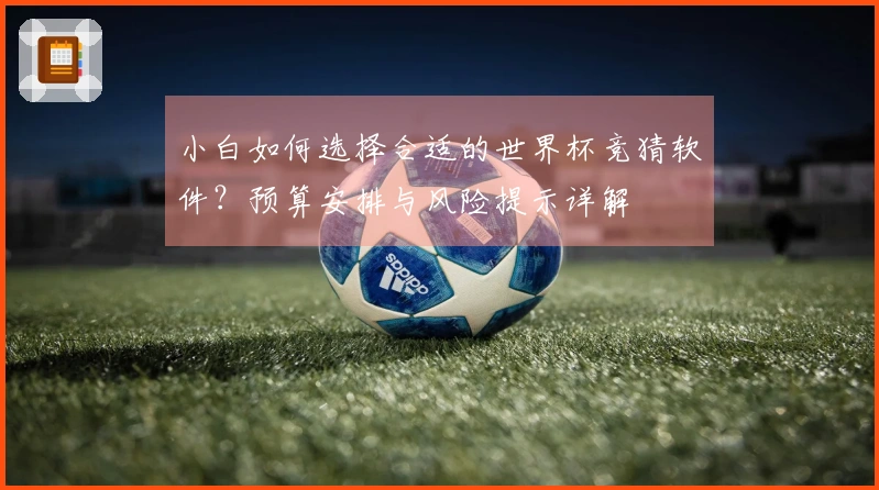 小白如何选择合适的世界杯竞猜软件？预算安排与风险提示详解