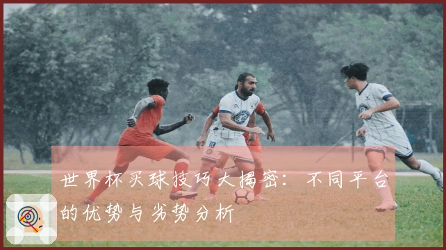 世界杯买球技巧大揭密：不同平台的优势与劣势分析