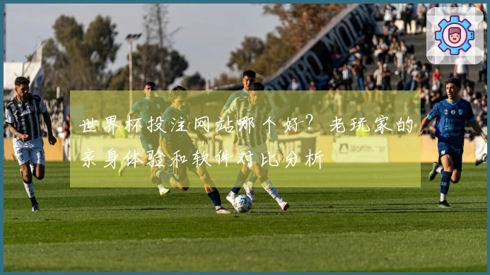 世界杯投注网站哪个好？老玩家的亲身体验和软件对比分析