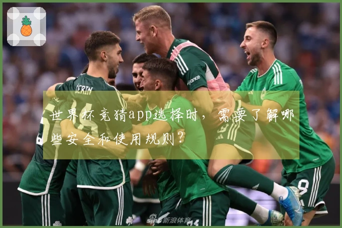 世界杯竞猜app选择时，需要了解哪些安全和使用规则？