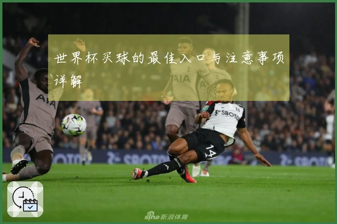世界杯买球的最佳入口与注意事项详解