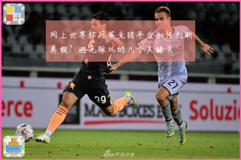 网上世界杯冠军竞猜平台如何判断真假？避免踩坑的几个关键点