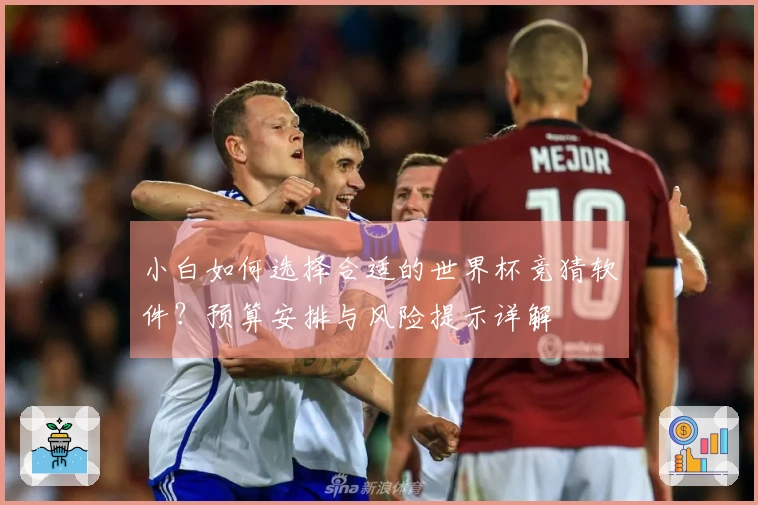 小白如何选择合适的世界杯竞猜软件？预算安排与风险提示详解